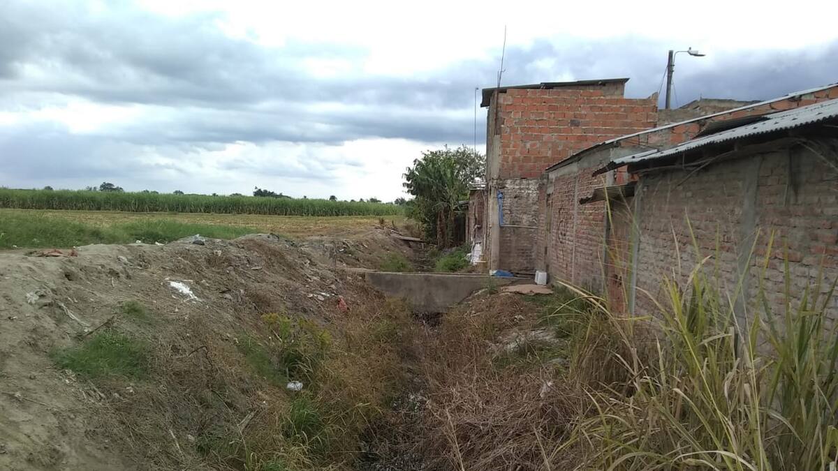 Sequía y derrumbe en Palmira: más de 400 agricultores llevan 5 años esperando agua en canal de riego