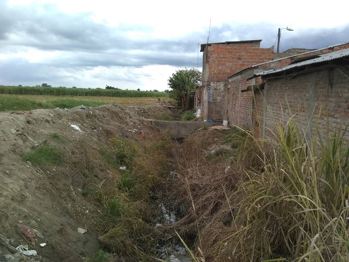 Sequía y derrumbe en Palmira: más de 400 agricultores llevan 5 años esperando agua en canal de riego