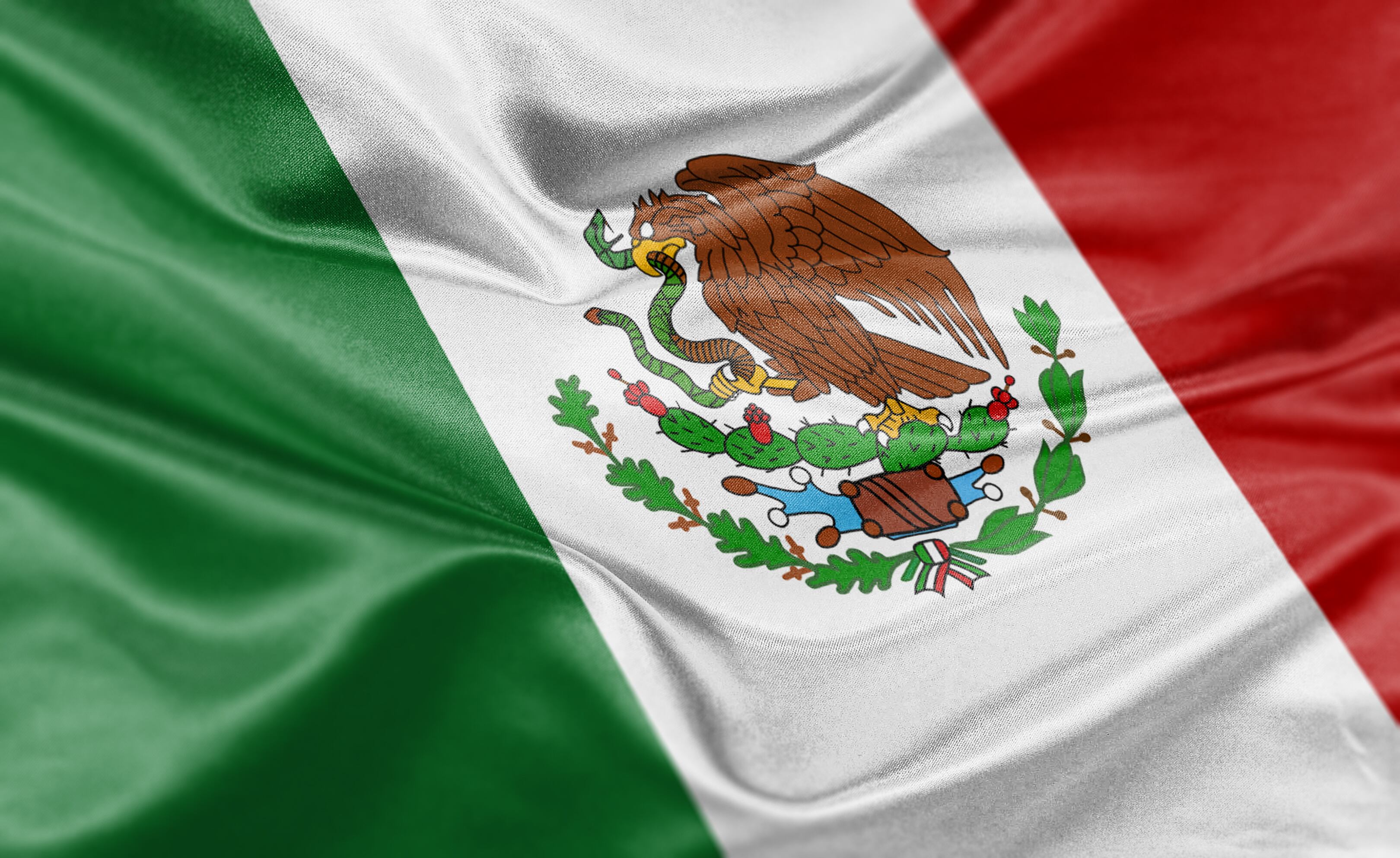 Bandera de México. Foto: Mariano Sayno