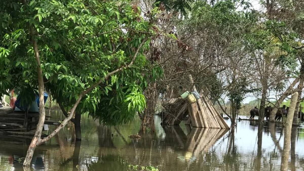 Cinco municipios han declarado calamidad pública por fuertes lluvias en Córdoba