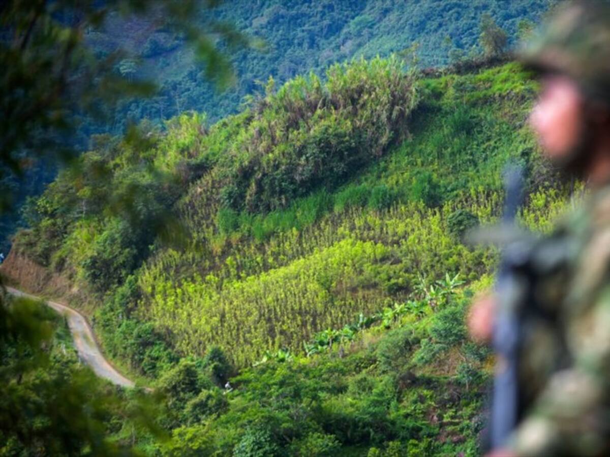 El principal enemigo del Cauca es el narcotráfico: general John Rojas