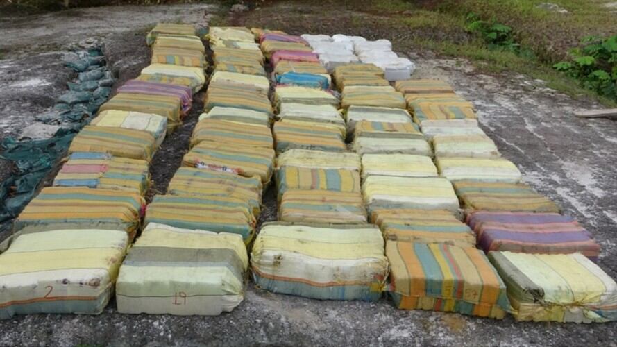 Incautaron tres toneladas de marihuana en el Amazonas. Foto: Twitter: @mindefensa