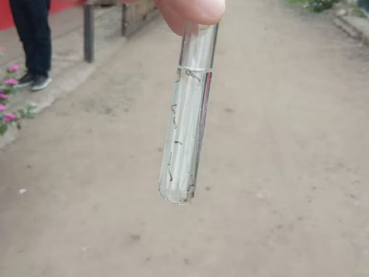 Cuatro casos importados de dengue fueron detectados por autoridades de salud de Manizales