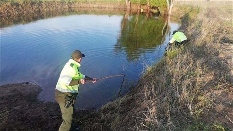 Las autoridades recomendaron a los padres tener cuidado con sus hijos en ese tipo de paseos.. Foto: Foto de referencia Policía.