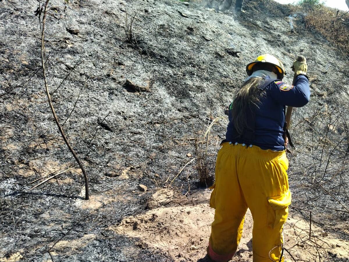 Adoptan medidas para afrontar la temporada seca en el departamento del Magdalena