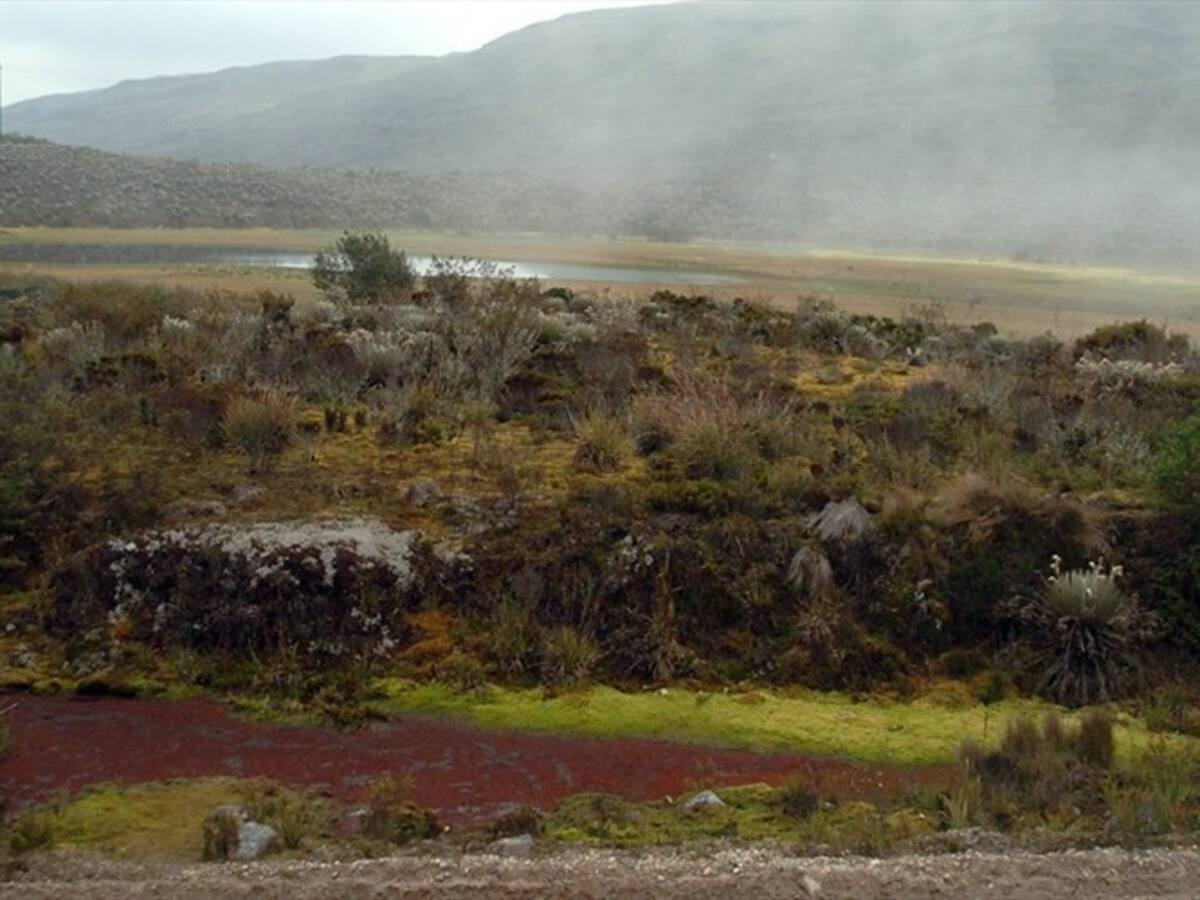 Controlado el incendio del páramo de Sumapaz