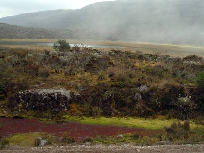 El Parque Nacional Natural Sumapaz.. Foto: Colprensa