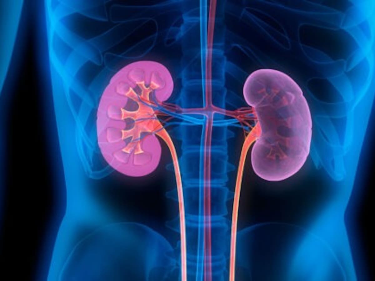 Estas son algunas señales para detectar un cáncer de riñón, nefróloga explicó