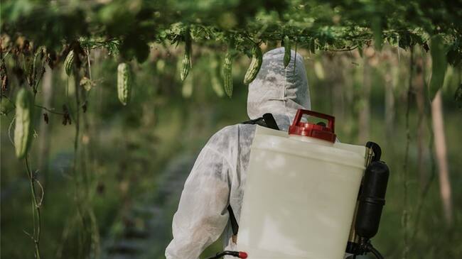Sofía Gática, activista en contra de herbicidas, dijo que el 80 % de la población en Córdoba, Argentina, tiene cáncer y leucemia. . Foto: Getty Images