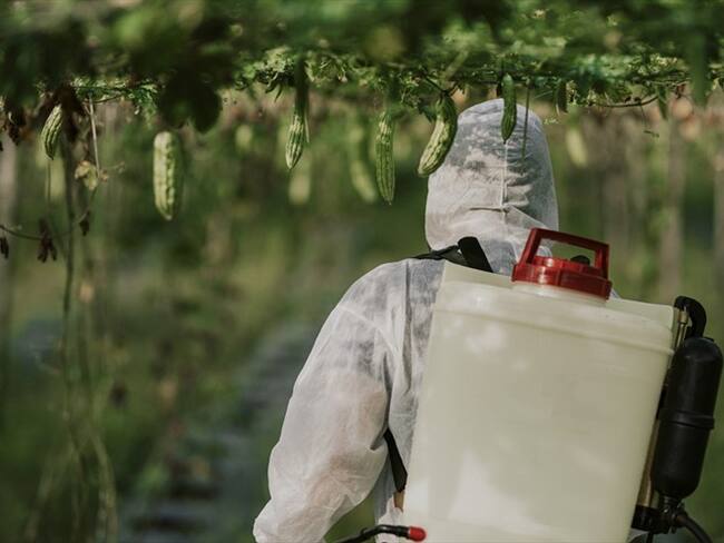 Mis hijos dejaron de caminar por las fumigaciones con Glifosato: víctima en Argentina