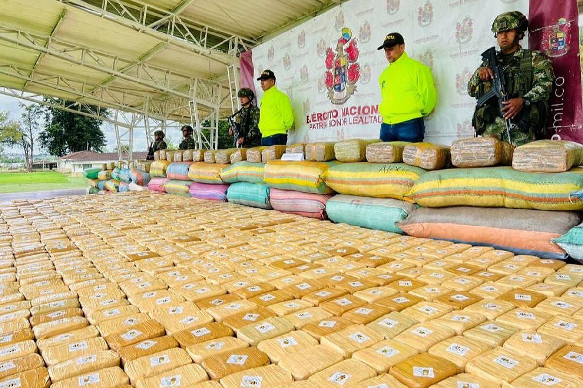 La marihuana sería comercializada en el mercado internacional de drogas del Ecuador. Crédito: Ejército Nacional.