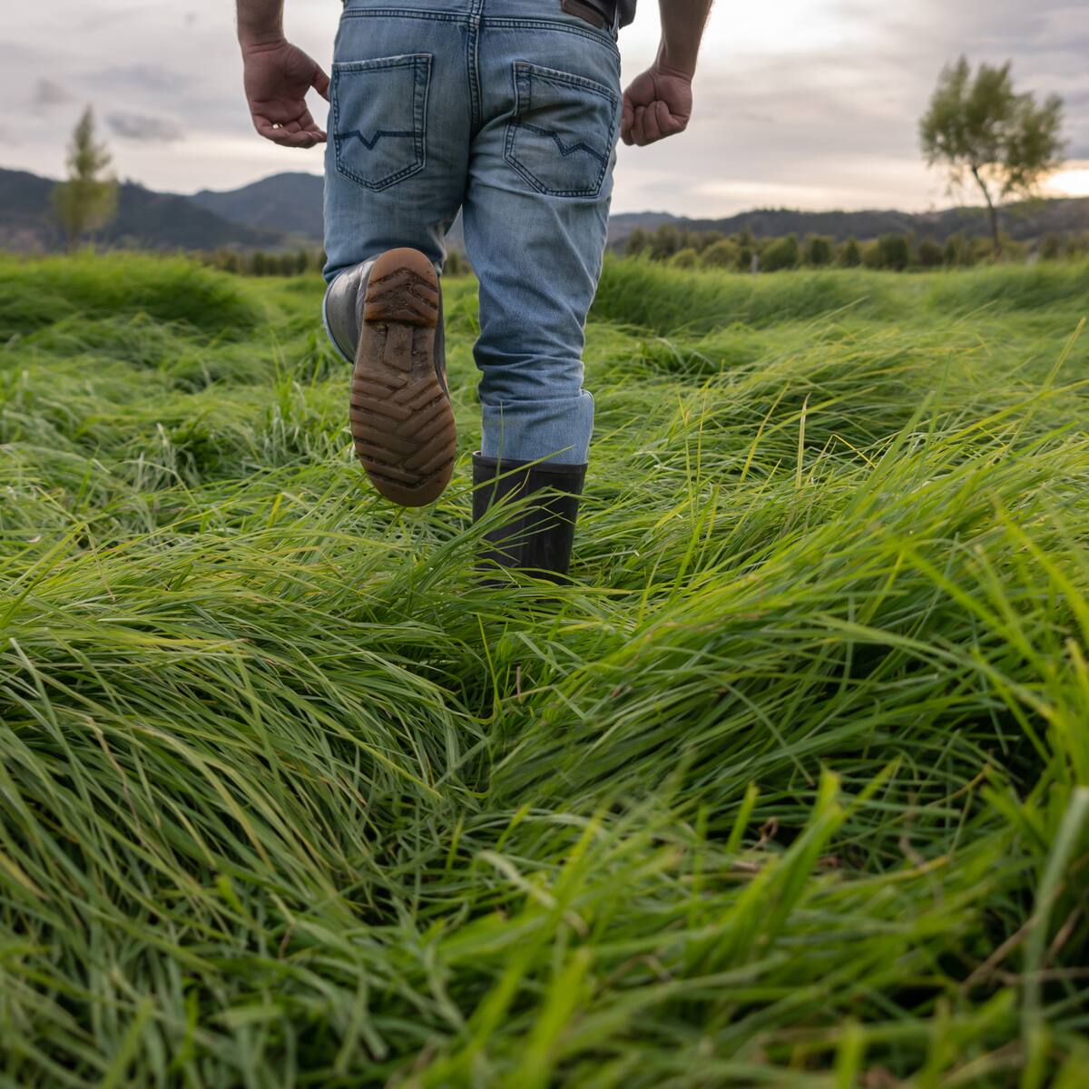 Gobierno destinará terrenos de la nación como zonas francas