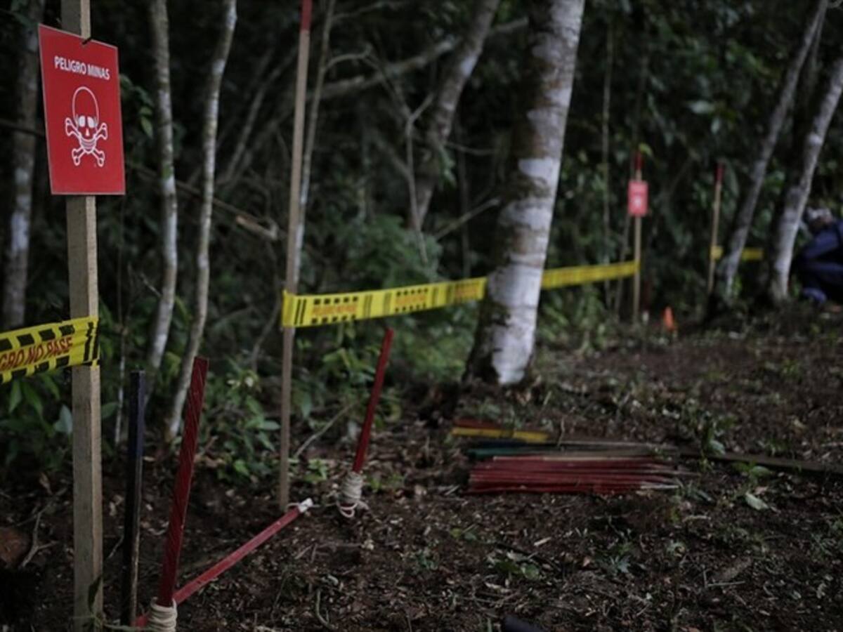 ONU alerta por instalación de minas y reclutamiento de menores en Cauca