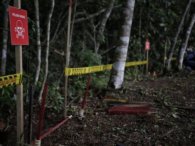 Preocupación por la situación humanitaria que están viviendo varios municipios del Cauca por causa de la violencia / imagen de referencia. Foto: Colprensa