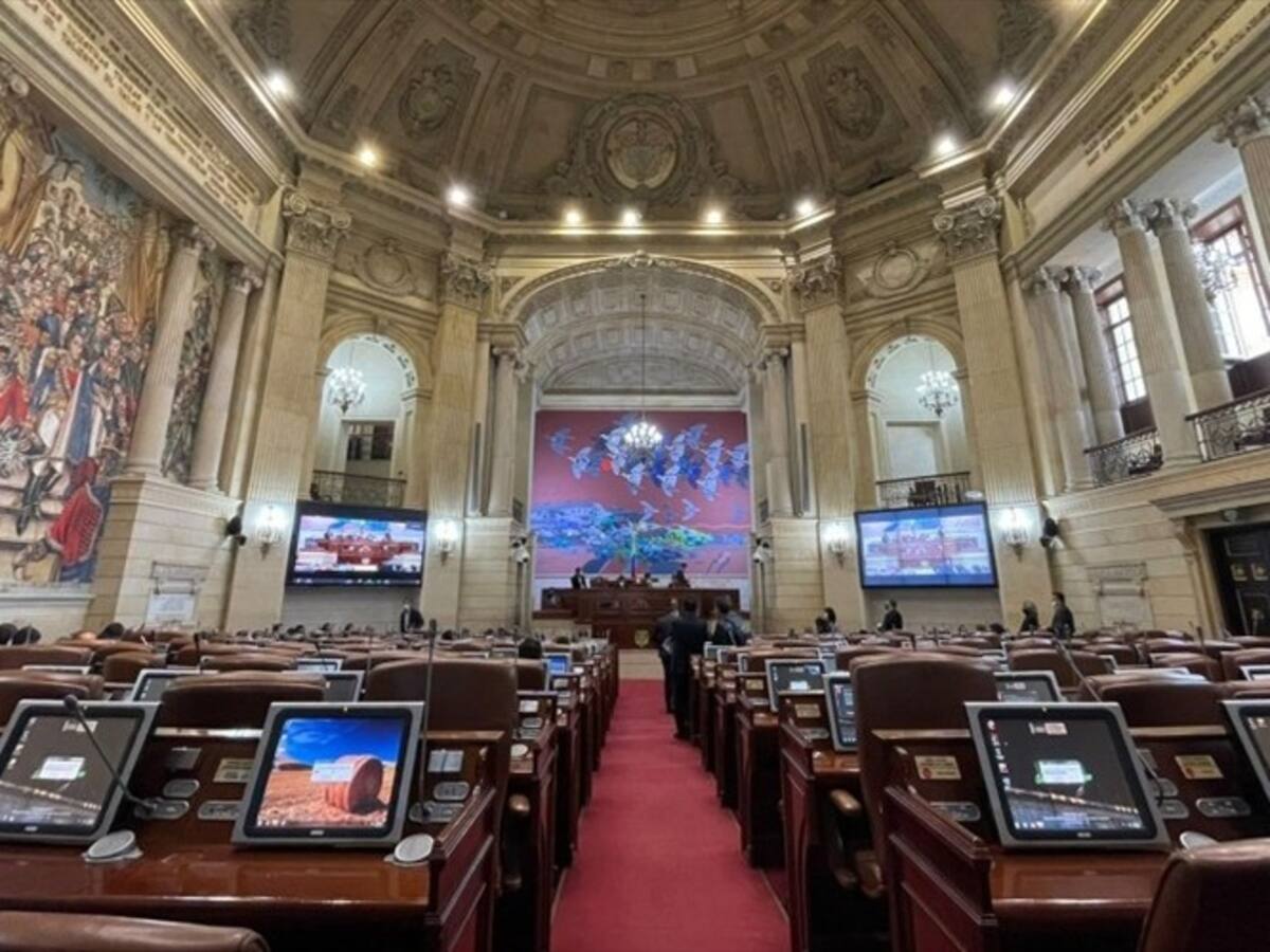 Senado tilda de “improcedente” tutela contra modificación de Ley de Garantías