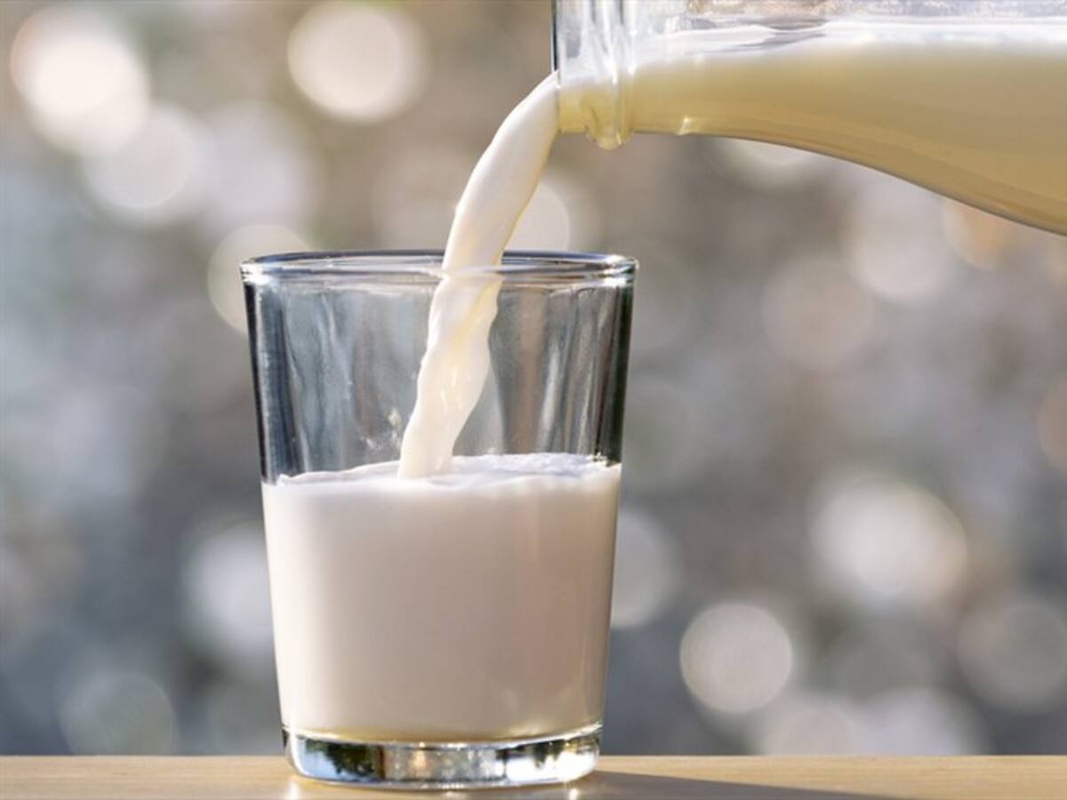 Científicos disipan un popular mito sobre el consumo de leche