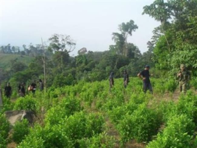 Foto: Colprensa / Vanguardia Liberal.