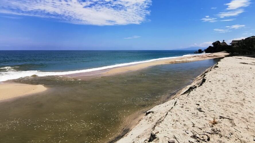 Turista desafía a caimán en el Parque Tayrona para tomarse una foto. Foto: Colprensa