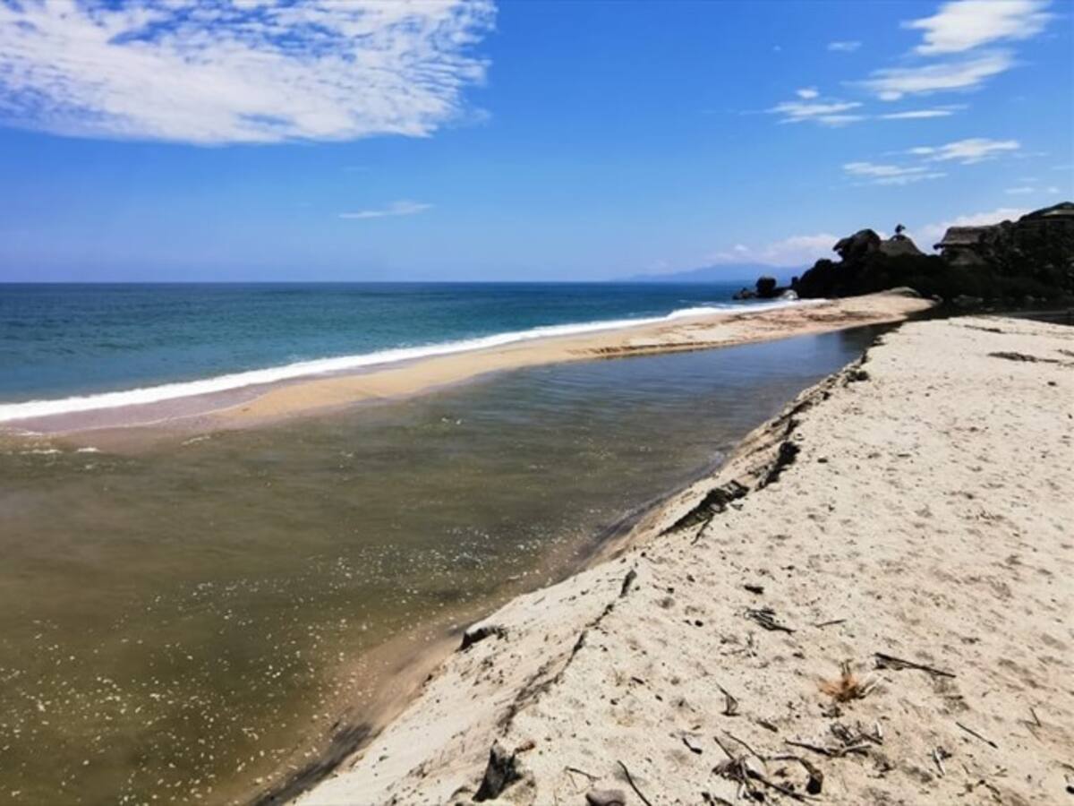 Turista desafía a caimán en el Parque Tayrona para tomarse una foto