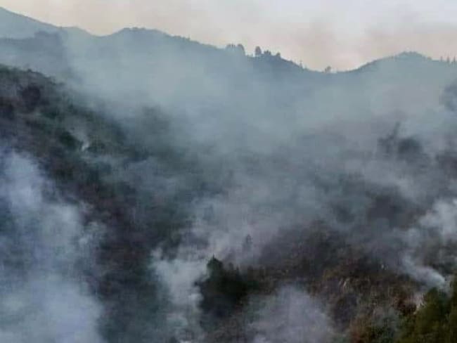 Varios cultivos se han perdido por los incendios. Crédito: Red de Apoyo Cauca.