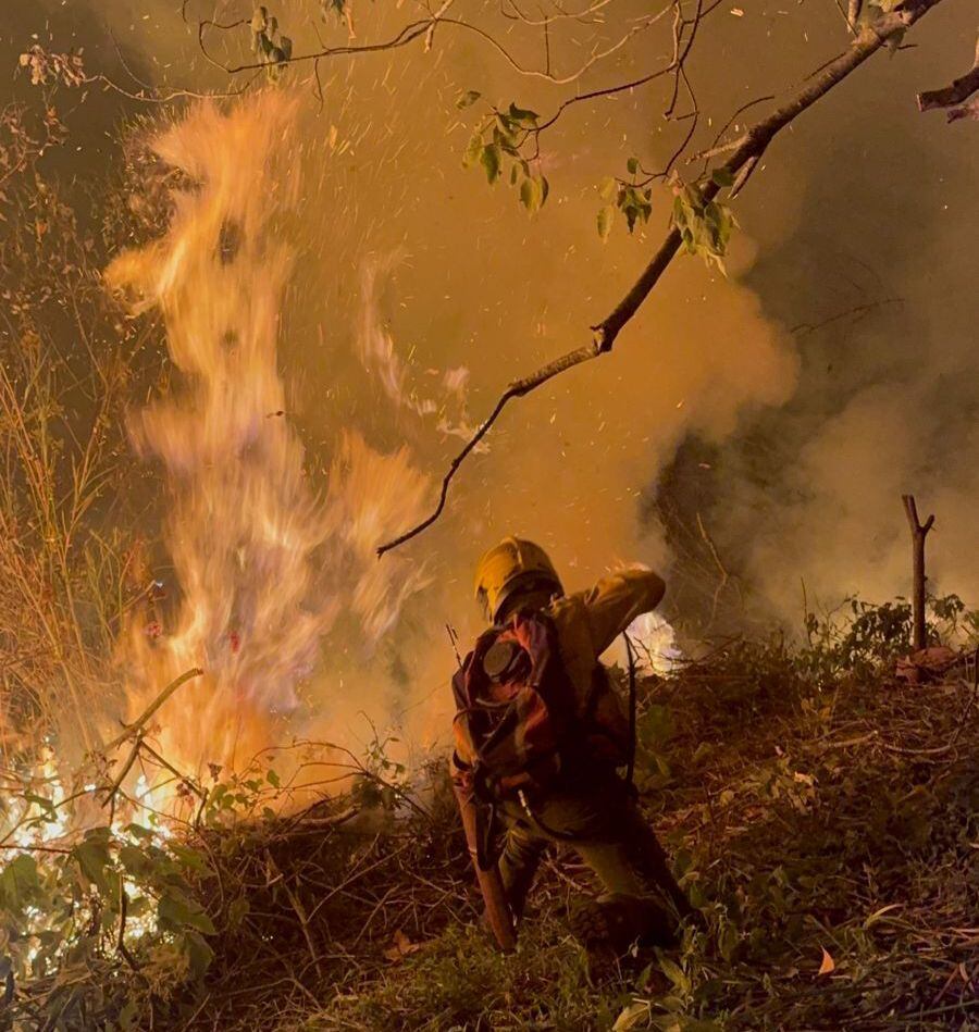 Las autoridades reportaron que aproximadamente 43 hectáreas de vegetación resultaron afectadas. Foto: Bomberos Cali