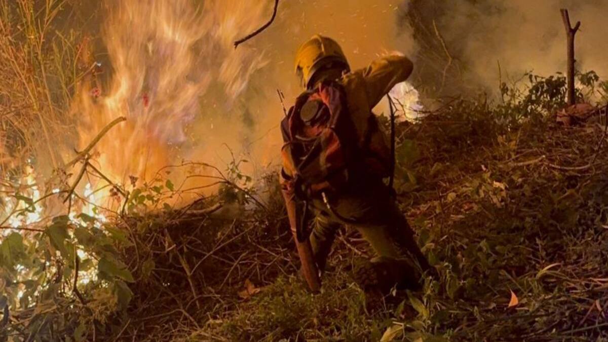 Incendio forestal en Pichindé fue controlado tras dos días de intensas labores