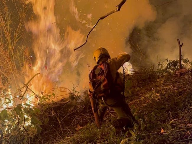 Las autoridades reportaron que aproximadamente 43 hectáreas de vegetación resultaron afectadas. Foto: Bomberos Cali