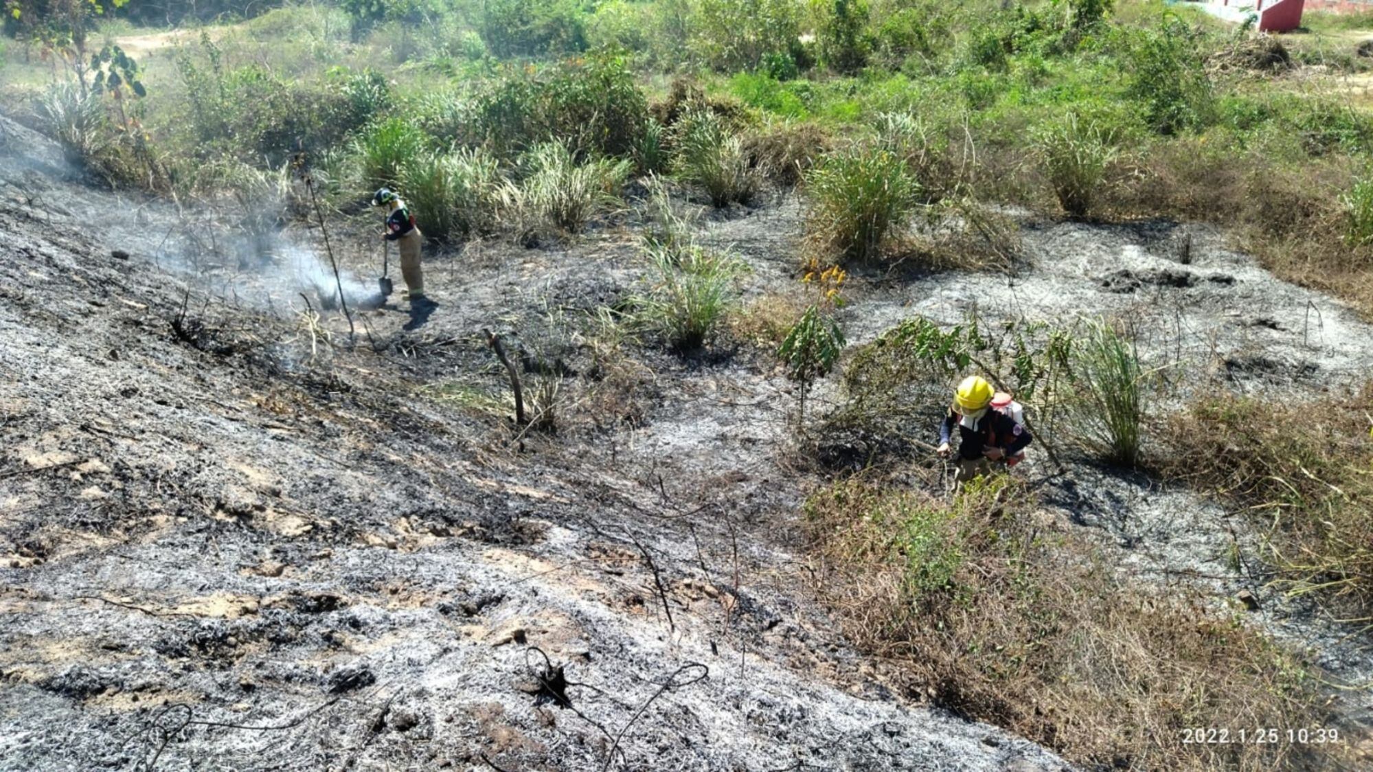 Incendio forestal/ Corpamag