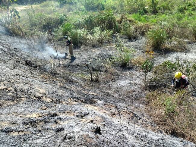 Incendio forestal/ Corpamag