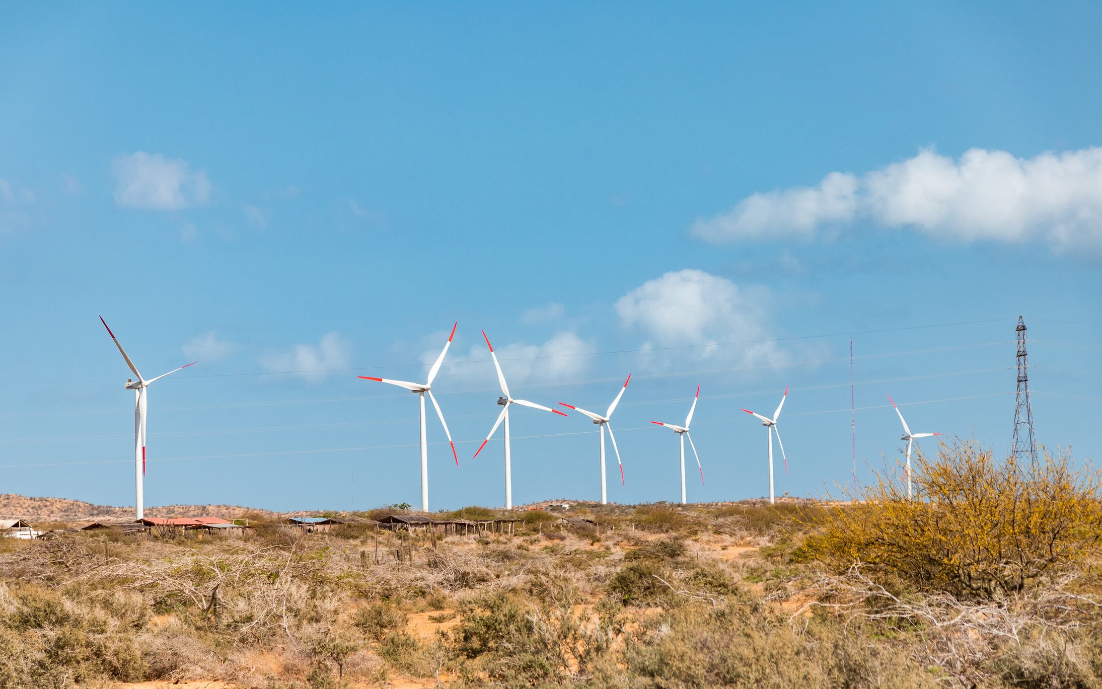 Proyectos de energía eólica en La Guajira imagen de referencia. Foto: Getty Images.