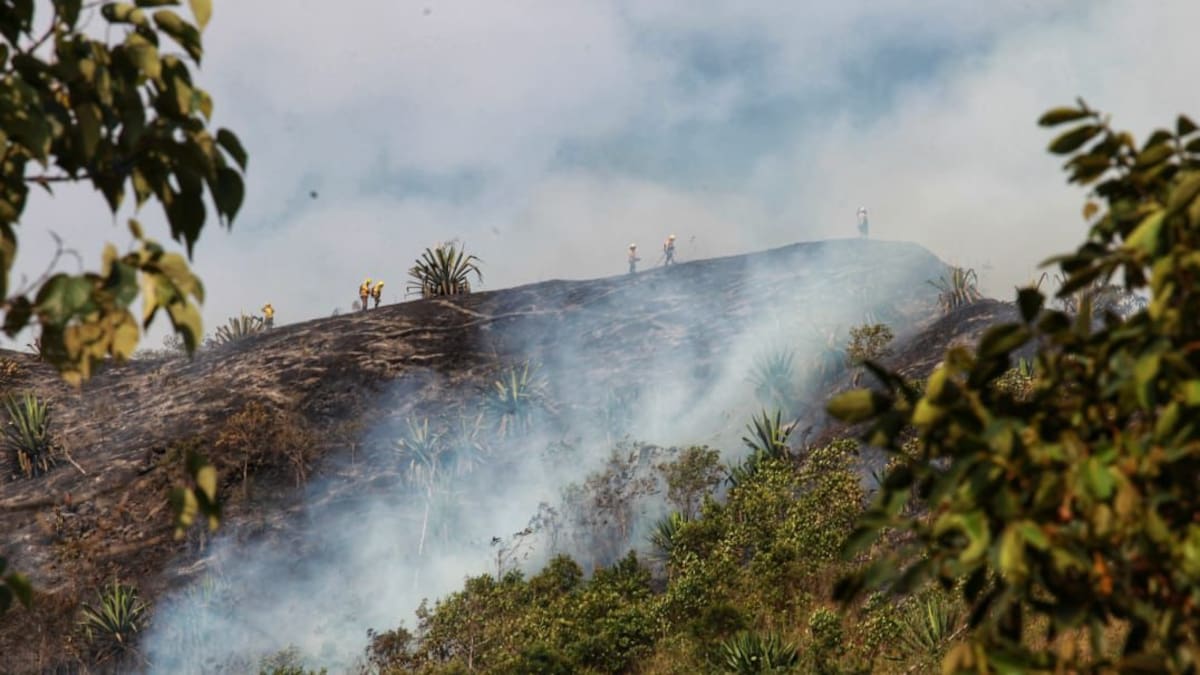 Emergencia en Cali por incendio forestal en el corregimiento de Pichindé