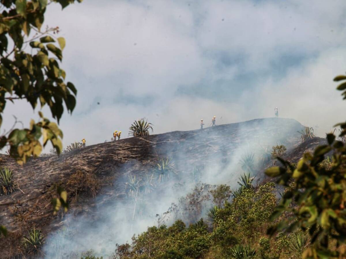 Emergencia en Cali por incendio forestal en el corregimiento de Pichindé
