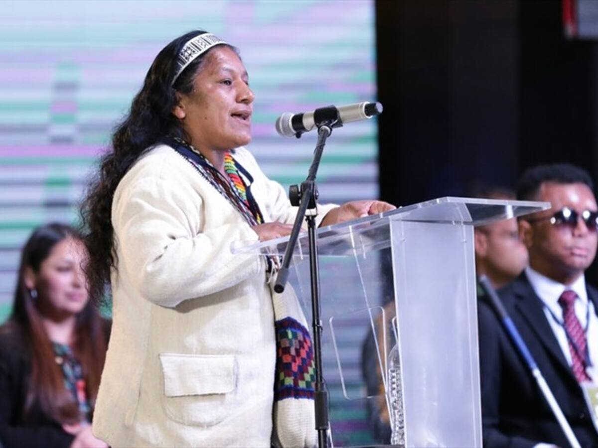 Denuncian que sujetos armados buscaron a lideresa indígena en Cauca