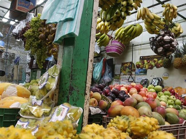 Imagen de referencia. Foto: Colprensa