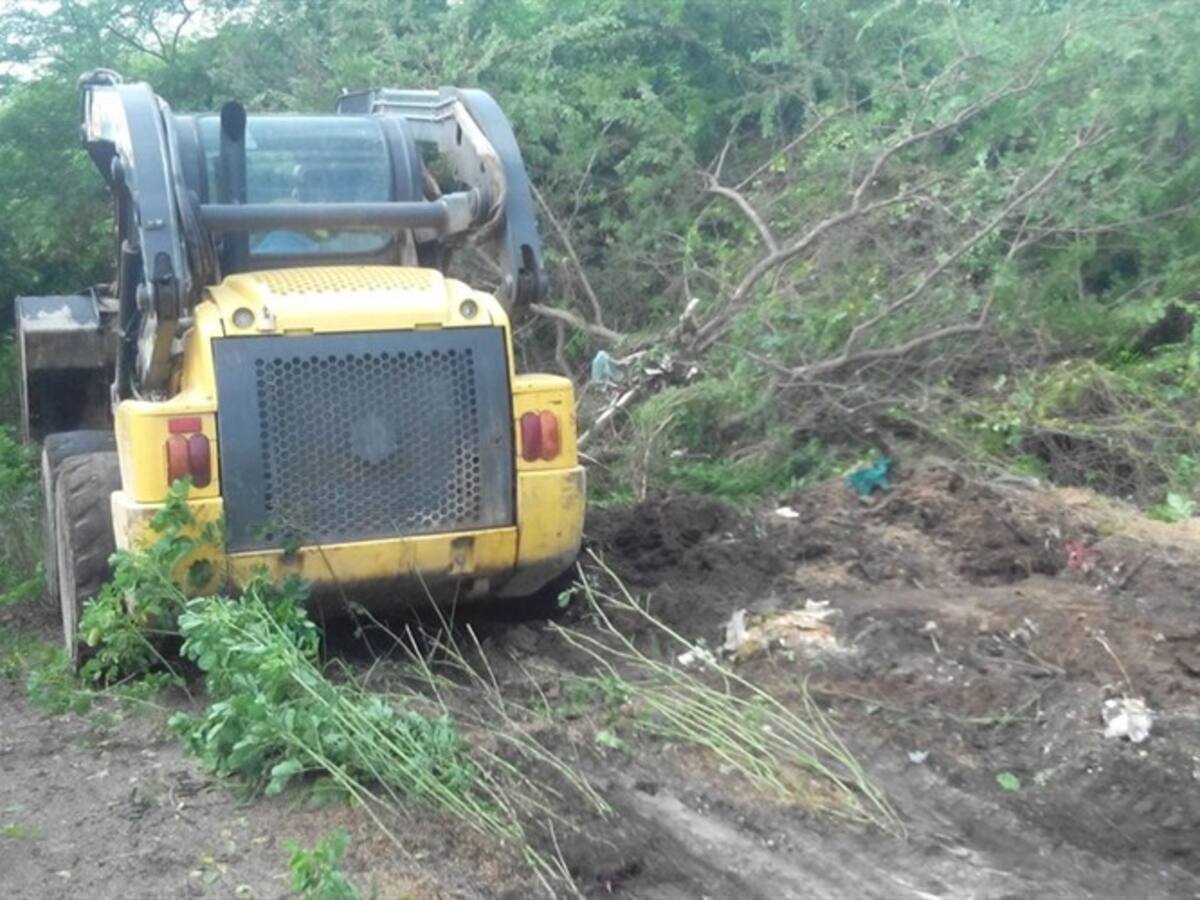Comunidad educativa alerta sobre presencia de serpientes en colegio de Malambo, Atlántico