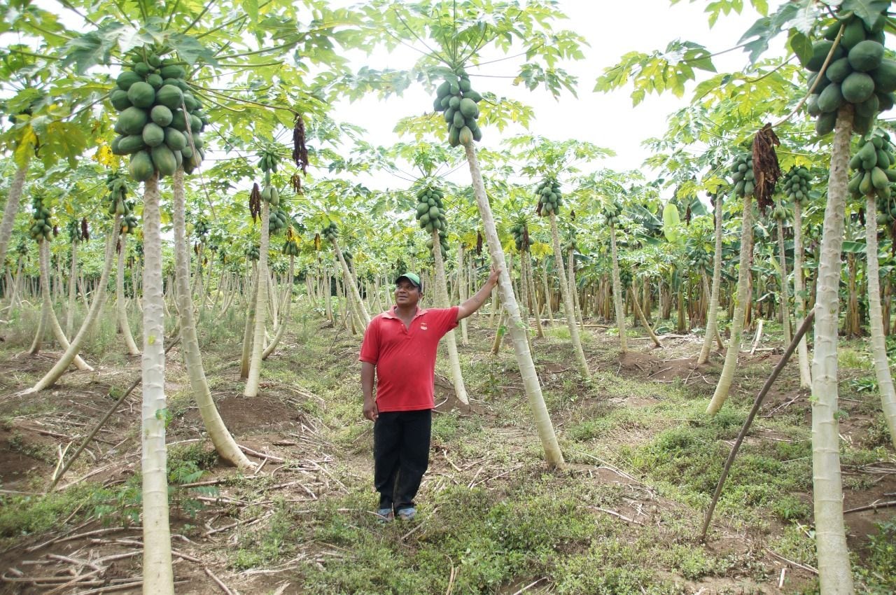 Más de 4.500 campesinos cordobeses habrían recuperado sus tierras. Foto: Unidad de Restitución de Tierras - referencia. 