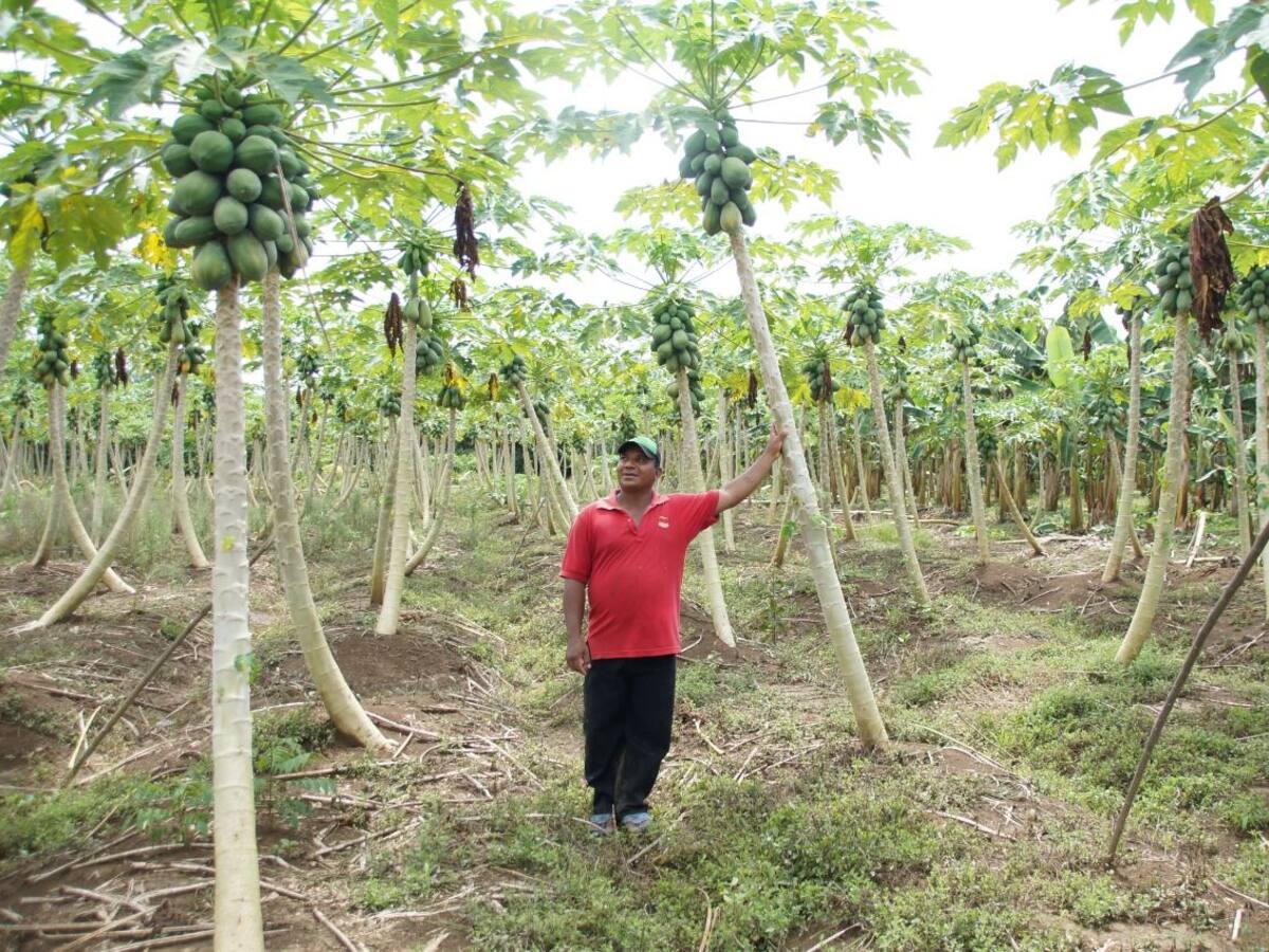 Más de 4.500 campesinos cordobeses habrían recuperado sus tierras
