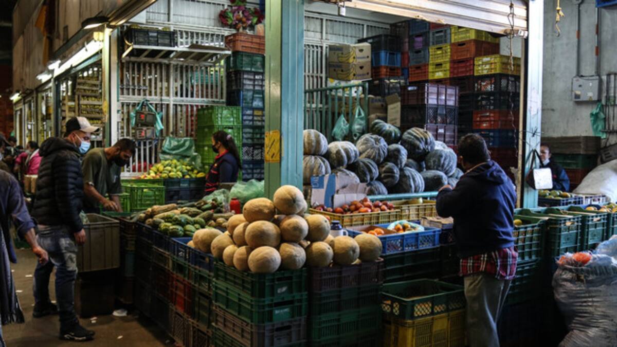 MinTrabajo y Corabastos, unidos para acabar trabajo infantil en central de alimentos