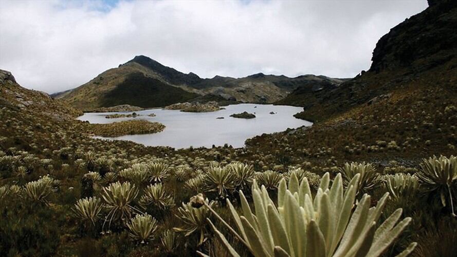 Pequeños mineros estarían molestos con el apoyo que brindó la alcaldesa de California a la defensa del agua de Santander.. Foto: Colprensa