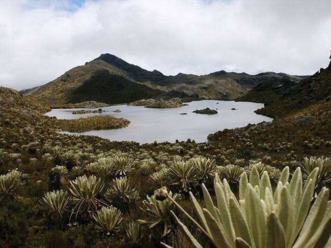 Pequeños mineros estarían molestos con el apoyo que brindó la alcaldesa de California a la defensa del agua de Santander.. Foto: Colprensa