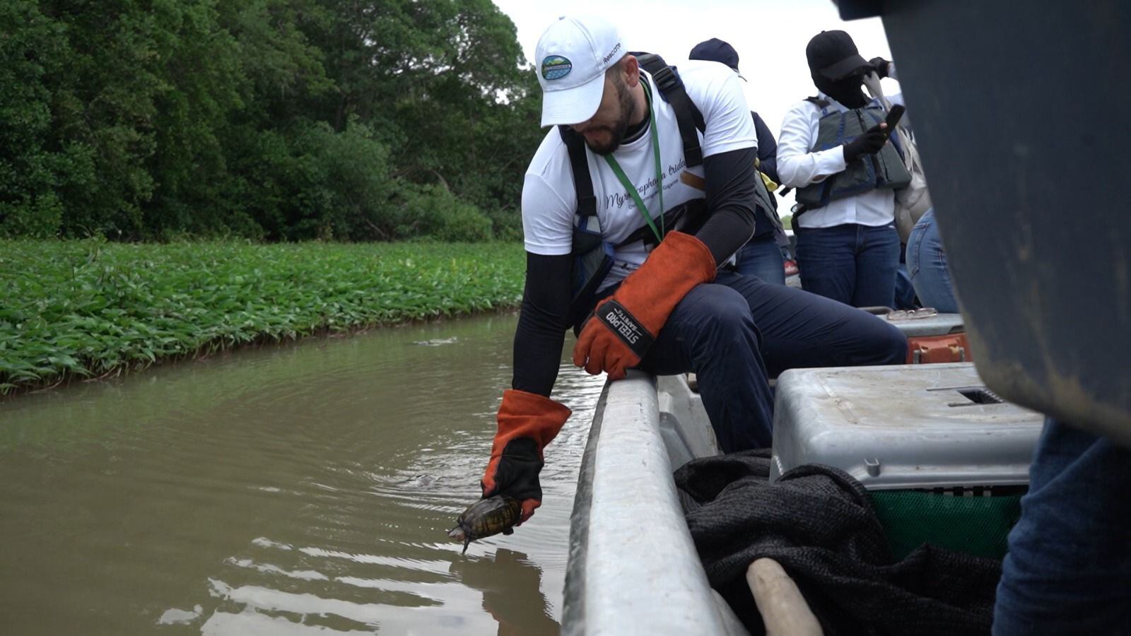 Animales silvestres liberados/ Corpamag