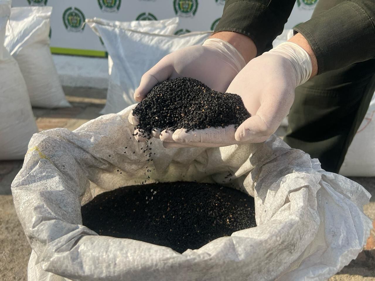 Polfa incautó 300 kilos de semilla de cebolla de contrabando. Foto: DENOR.