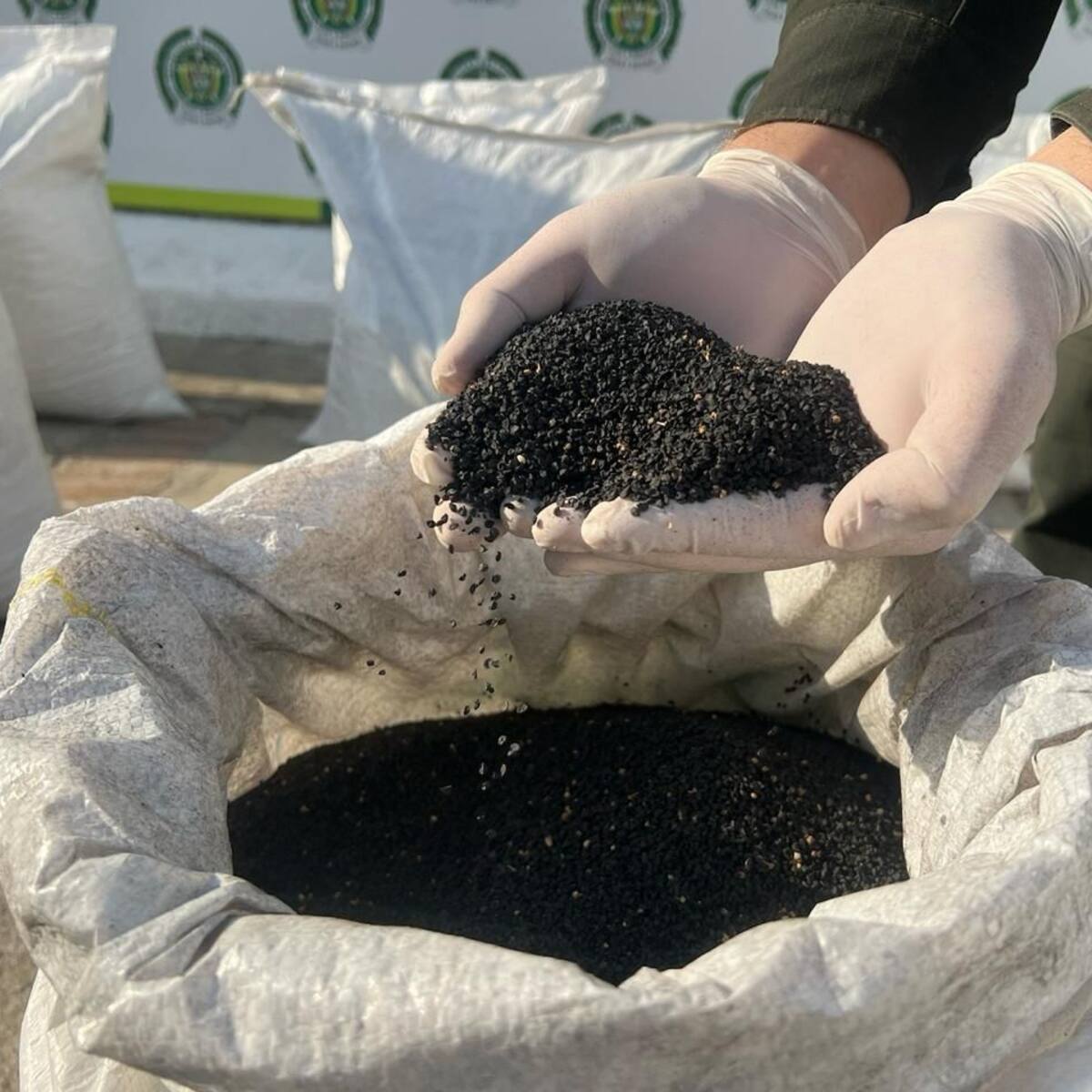 Incautan 300 kilos de semilla de cebolla de contrabando en el Catatumbo