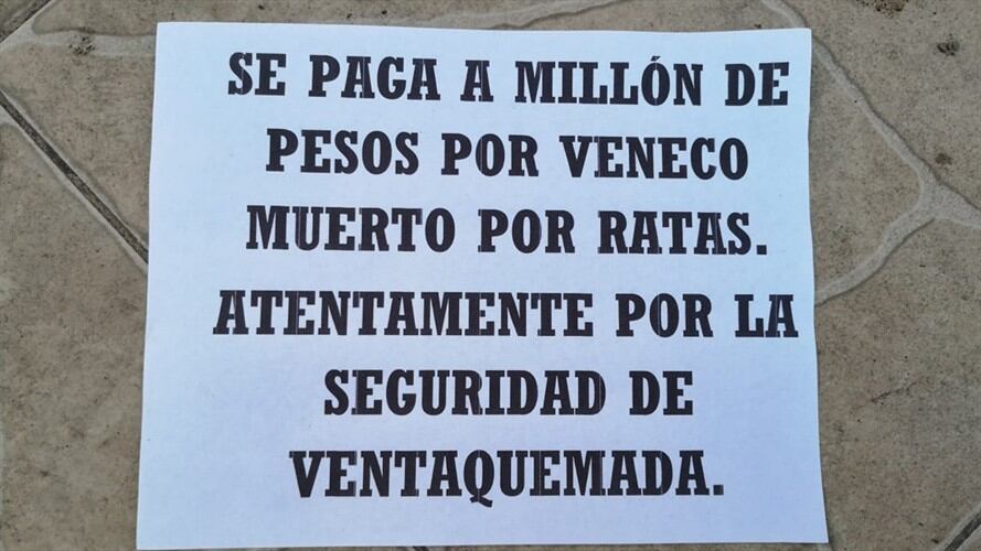 El alcalde Carlos Julio Melo dijo que por ningún motivo apoyan ese tipo de actuaciones. Foto: Suministrada