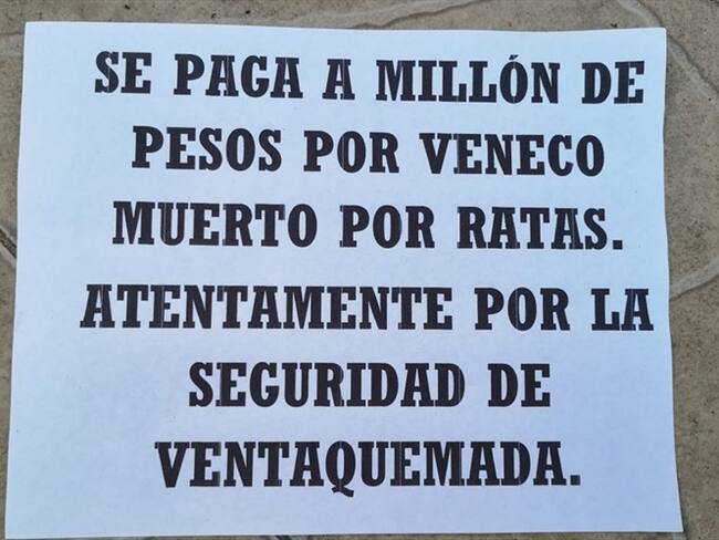 El alcalde Carlos Julio Melo dijo que por ningún motivo apoyan ese tipo de actuaciones. Foto: Suministrada