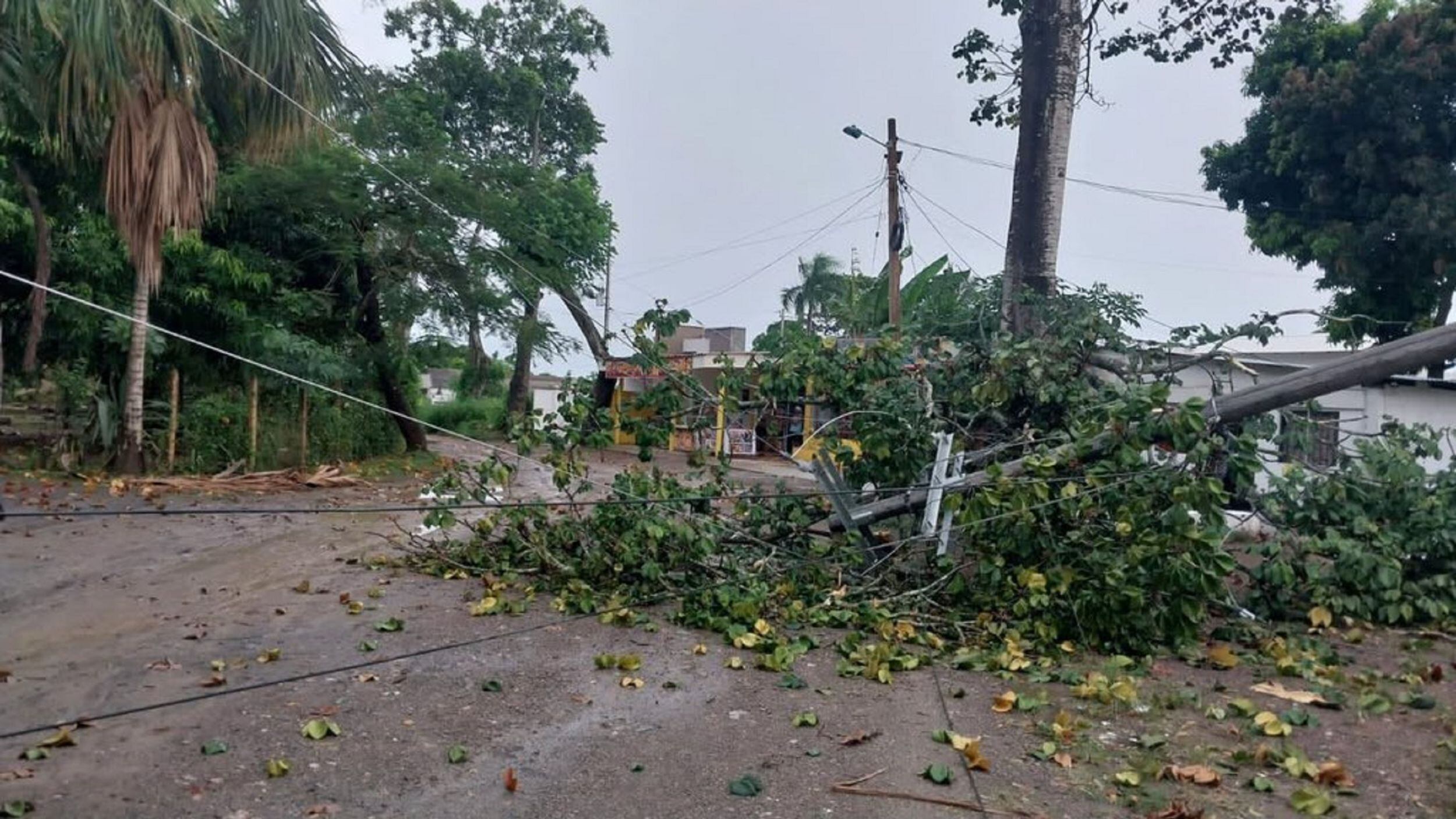Fuertes lluvias afectaron la infraestructura eléctrica de 9 municipios de Córdoba. Foto: prensa Afinia.