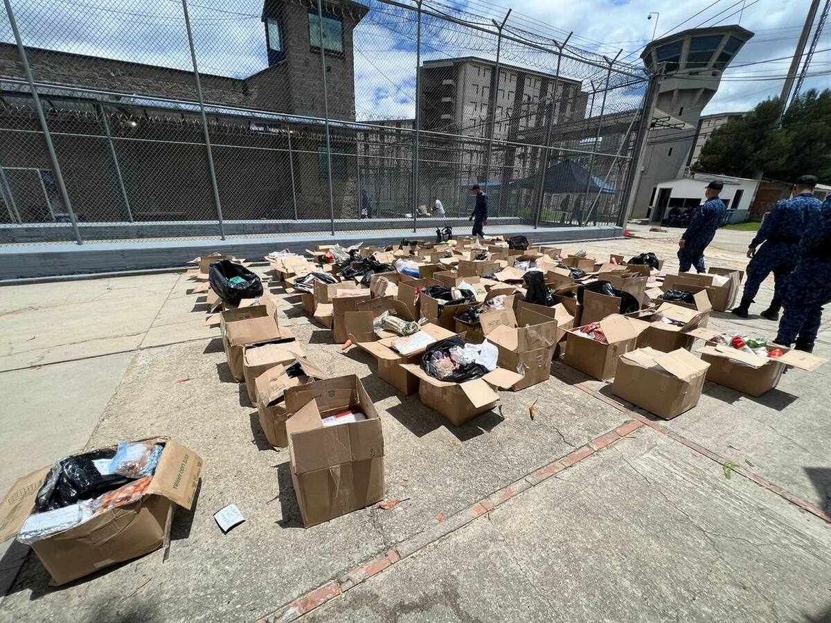 Consumo de carne de mono no está permitido en Colombia