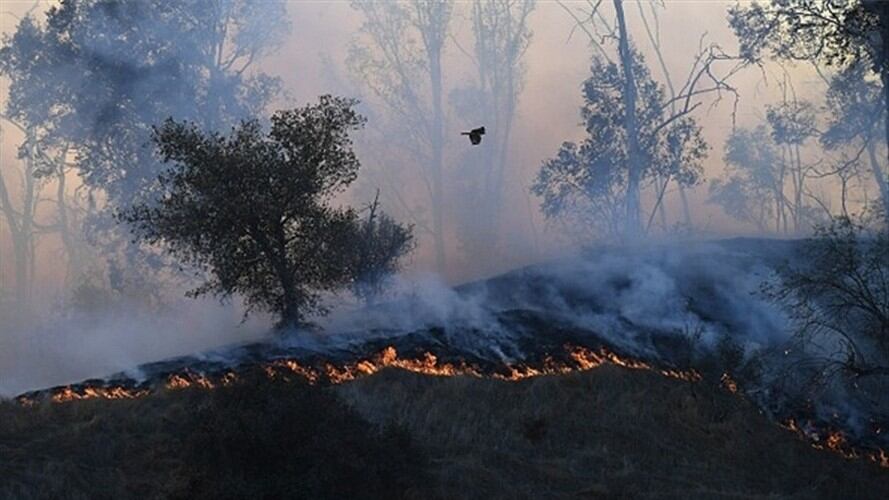 Se precisó que la causa del incendio sería una quema controladas.. Foto: Colprensa