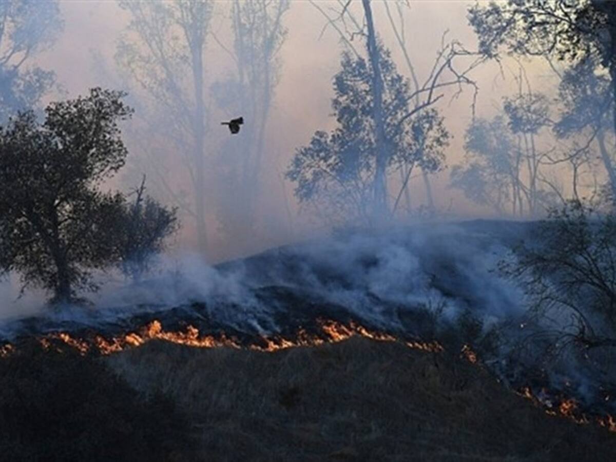 Fueron seis las hectáreas afectadas por incendio en zona rural de Turmequé, Boyacá