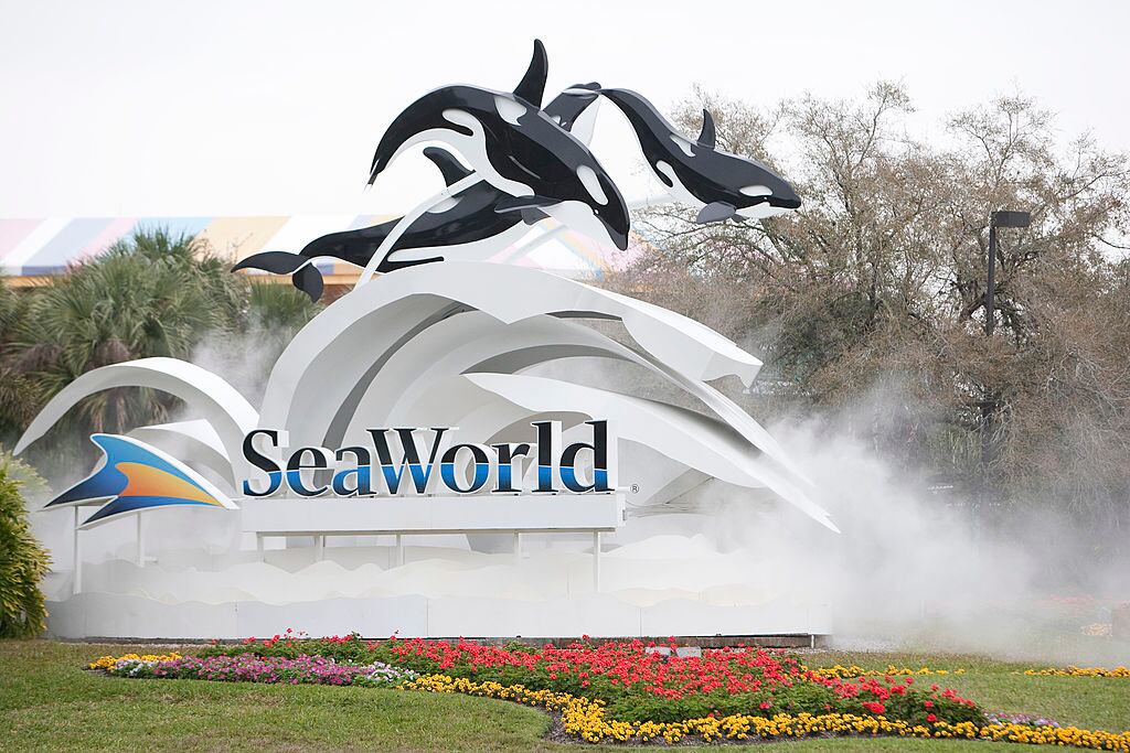 SeaWorld, Orlando, Florida. (Photo by Matt Stroshane/Getty Images)